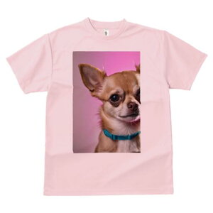 ` TVc fB[X t@  t  vg JWA 킢 lԗp h ̃fUC ʔ  `