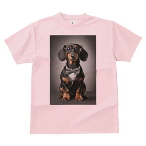 _bNXth TVc fB[X t@  t  vg JWA 킢 lԗp h ̃fUC ʔ lN^C _bNXth ዾ X[c