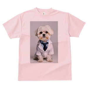 }`[Y TVc fB[X t@  t  vg JWA 킢 lԗp h ̃fUC ʔ CVc }`[Y lN^C 