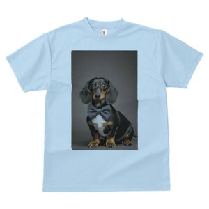 _bNXtg TVc fB[X t@  t  vg JWA 킢 lԗp h ̃fUC ʔ lN^C _bNXtg