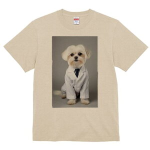 }`[Y TVc fB[X t@  t  vg JWA 킢 lԗp h ̃fUC ʔ  }`[Y lN^C