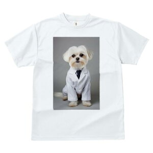 }`[Y TVc fB[X t@  t  vg JWA 킢 lԗp h ̃fUC ʔ  }`[Y lN^C