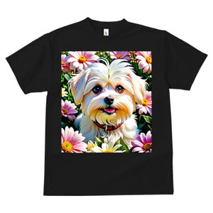 }`[Y TVc fB[X t@  t  vg JWA 킢 lԗp h ̃fUC ʔ  }`[Y fCW[