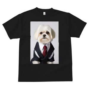 }`[Y TVc fB[X t@  t  vg JWA 킢 lԗp h ̃fUC ʔ X[c }`[Y lN^C rWlX