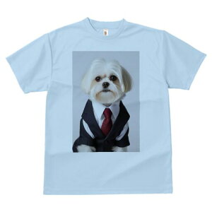 }`[Y TVc fB[X t@  t  vg JWA 킢 lԗp h ̃fUC ʔ X[c }`[Y lN^C rWlX