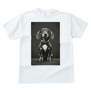 _bNXth TVc fB[X t@  t  vg JWA 킢 lԗp h ̃fUC ʔ ^LV[h _bNXth lN^C