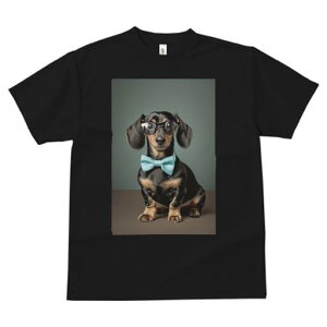 _bNXth TVc fB[X t@  t  vg JWA 킢 lԗp h ̃fUC ʔ lN^C _bNXth ዾ