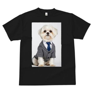 }`[Y TVc fB[X t@  t  vg JWA 킢 lԗp h ̃fUC ʔ X[c }`[Y lN^C rWlX