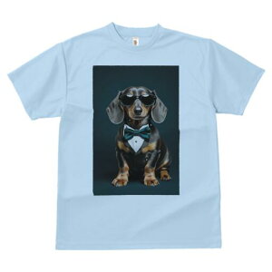 _bNXth TVc fB[X t@  t  vg JWA 킢 lԗp h ̃fUC ʔ ^LV[h _bNXth lN^C TOX