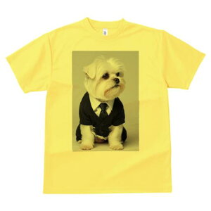 }`[Y TVc fB[X t@  t  vg JWA 킢 lԗp h ̃fUC ʔ X[c }`[Y lN^C