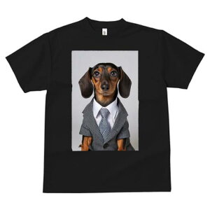 _bNXth TVc fB[X t@  t  vg JWA 킢 lԗp h ̃fUC ʔ X[c _bNXth lN^C CVc