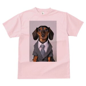 _bNXth TVc fB[X t@  t  vg JWA 킢 lԗp h ̃fUC ʔ X[c _bNXth lN^C CVc