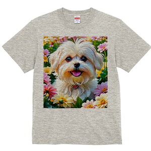 }`[Y TVc fB[X t@  t  vg JWA 킢 lԗp h ̃fUC ʔ  }`[Y  t 