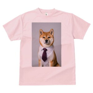 Č TVc fB[X t@  t  vg JWA 킢 lԗp h ̃fUC ʔ CVc Č lN^C