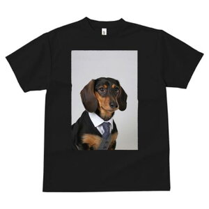 _bNXth TVc fB[X t@  t  vg JWA 킢 lԗp h ̃fUC ʔ X[c _bNXth lN^C CVc