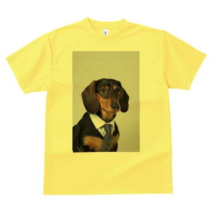 _bNXth TVc fB[X t@  t  vg JWA 킢 lԗp h ̃fUC ʔ X[c _bNXth lN^C CVc