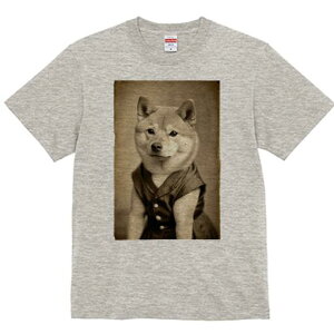 Č TVc fB[X t@  t  vg JWA 킢 lԗp h ̃fUC ʔ g Č Be[W 