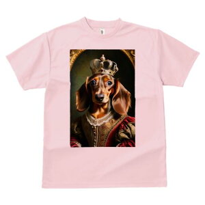 _bNXth TVc fB[X t@  t  vg JWA 킢 lԗp h ̃fUC ʔ  _bNXth hX ё 