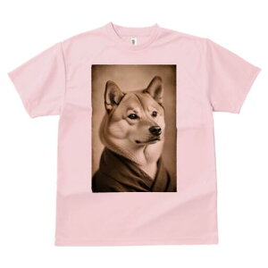 Č TVc fB[X t@  t  vg JWA 킢 lԗp h ̃fUC ʔ g Č Be[W