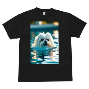 }`[Y TVc fB[X t@  t  vg JWA 킢 lԗp h ̃fUC ʔ  }`[Y v[