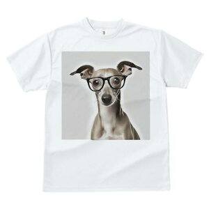 C^AO[nEh TVc Y LbY t@  t  vg JWA 킢 lԗp h ̃fUC ʔ Kl C^AO[nEh