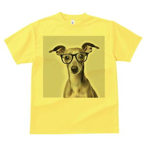 C^AO[nEh TVc Y LbY t@  t  vg JWA 킢 lԗp h ̃fUC ʔ Kl C^AO[nEh