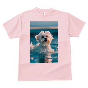 }`[Y TVc fB[X t@  t  vg JWA 킢 lԗp h ̃fUC ʔ  }`[Y v[