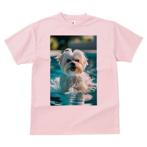 }`[Y TVc fB[X t@  t  vg JWA 킢 lԗp h ̃fUC ʔ  }`[Y v[