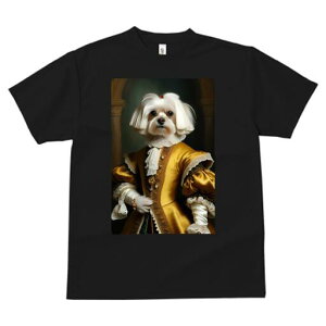 }`[Y TVc fB[X t@  t  vg JWA 킢 lԗp h ̃fUC ʔ ё }`[Y lTX  GKg