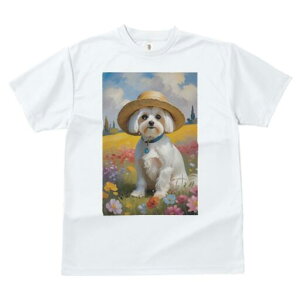 }`[Y TVc fB[X t@  t  vg JWA 킢 lԗp h ̃fUC ʔ Xq }`[Y Ԕ  t