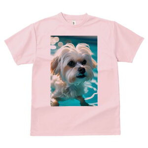 }`[Y TVc fB[X t@  t  vg JWA 킢 lԗp h ̃fUC ʔ  }`[Y  