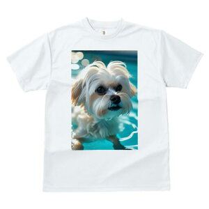 }`[Y TVc fB[X t@  t  vg JWA 킢 lԗp h ̃fUC ʔ  }`[Y  