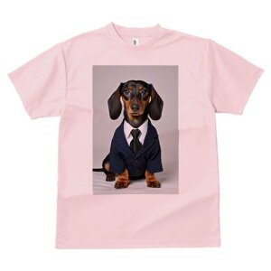 _bNXth TVc fB[X t@  t  vg JWA 킢 lԗp h ̃fUC ʔ X[c _bNXth lN^C rWlX