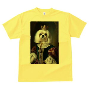 }`[Y TVc fB[X t@  t  vg JWA 킢 lԗp h ̃fUC ʔ  }`[Y hX [X