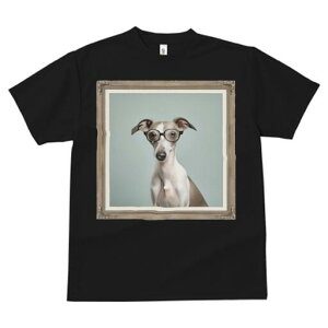 C^AO[nEh TVc Y LbY t@  t  vg JWA 킢 lԗp h ̃fUC ʔ Kl C^AO[nEh z