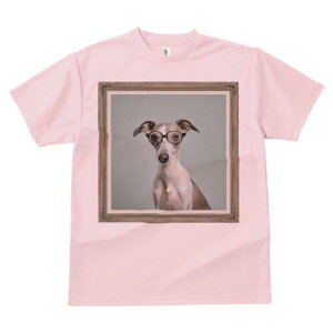 C^AO[nEh TVc Y LbY t@  t  vg JWA 킢 lԗp h ̃fUC ʔ Kl C^AO[nEh z