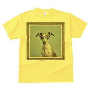 C^AO[nEh TVc Y LbY t@  t  vg JWA 킢 lԗp h ̃fUC ʔ Kl C^AO[nEh z