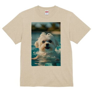 }`[Y TVc fB[X t@  t  vg JWA 킢 lԗp h ̃fUC ʔ  }`[Y v[