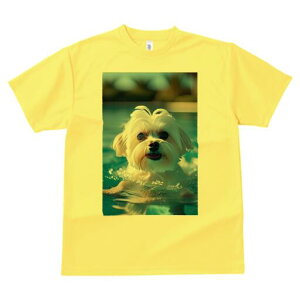 }`[Y TVc fB[X t@  t  vg JWA 킢 lԗp h ̃fUC ʔ  }`[Y v[