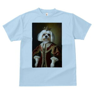 }`[Y TVc fB[X t@  t  vg JWA 킢 lԗp h ̃fUC ʔ  }`[Y  ߑ [X