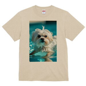 }`[Y TVc fB[X t@  t  vg JWA 킢 lԗp h ̃fUC ʔ  }`[Y v[