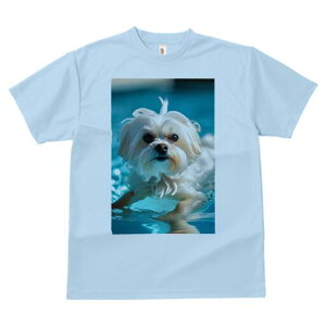 }`[Y TVc fB[X t@  t  vg JWA 킢 lԗp h ̃fUC ʔ  }`[Y v[