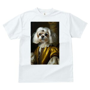 }`[Y TVc fB[X t@  t  vg JWA 킢 lԗp h ̃fUC ʔ ё }`[Y M hX [X