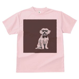 }`[Y TVc fB[X t@  t  vg JWA 킢 lԗp h ̃fUC ʔ Kl }`[Y lN^C