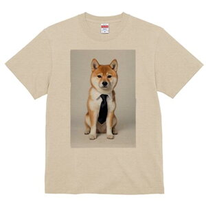 Č TVc fB[X t@  t  vg JWA 킢 lԗp h ̃fUC ʔ lN^C Č Vc