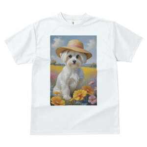 }`[Y TVc fB[X t@  t  vg JWA 킢 lԗp h ̃fUC ʔ Xq }`[Y   