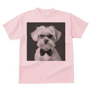 }`[Y TVc Y LbY t@  t  vg JWA 킢 lԗp h ̃fUC ʔ Kl }`[Y lN^C Vc