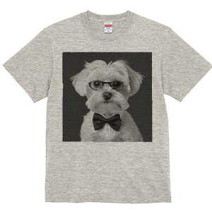 }`[Y TVc fB[X t@  t  vg JWA 킢 lԗp h ̃fUC ʔ Kl }`[Y lN^C Vc