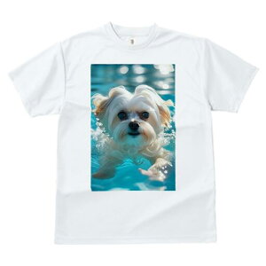 }`[Y TVc fB[X t@  t  vg JWA 킢 lԗp h ̃fUC ʔ  }`[Y v[