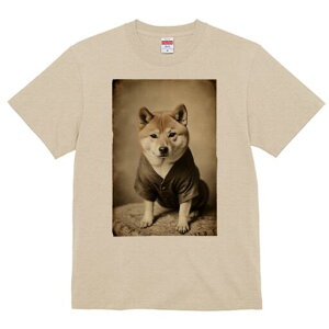 Č TVc fB[X t@  t  vg JWA 킢 lԗp h ̃fUC ʔ g Č Be[W 